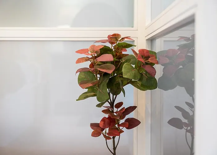 Guestready - Elegant In *