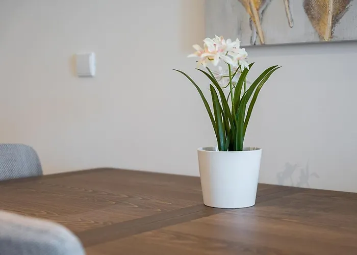 Guestready - Elegant In Porto